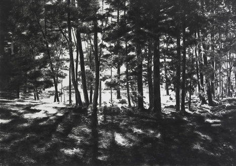 Light Sweep, 2009, Charcoal on paper, 35" x 50"